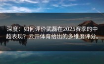 深度：如何评价武磊在2025赛季的中超表现？<strong>云开体育</strong>给出的多维度评分。