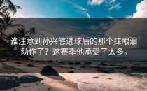 谁注意到孙兴慜进球后的那个抹眼泪动作了？这赛季他承受了太多。