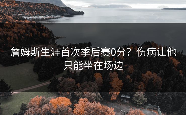 詹姆斯生涯首次季后赛0分？伤病让他只能坐在场边  第1张